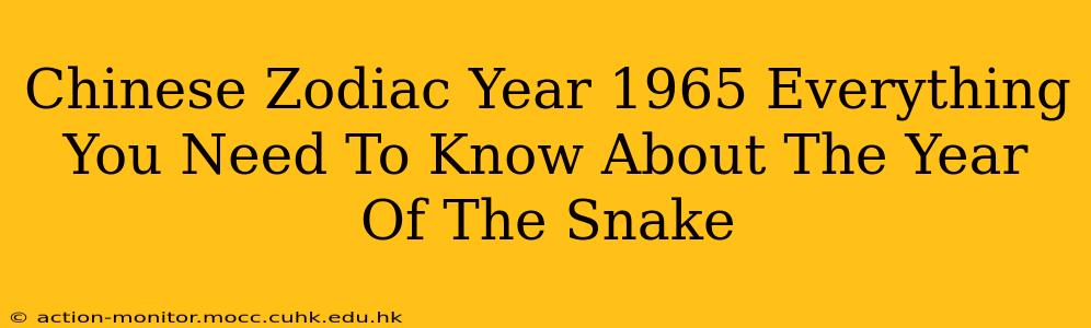 Chinese Zodiac Year 1965 Everything You Need To Know About The Year Of The Snake