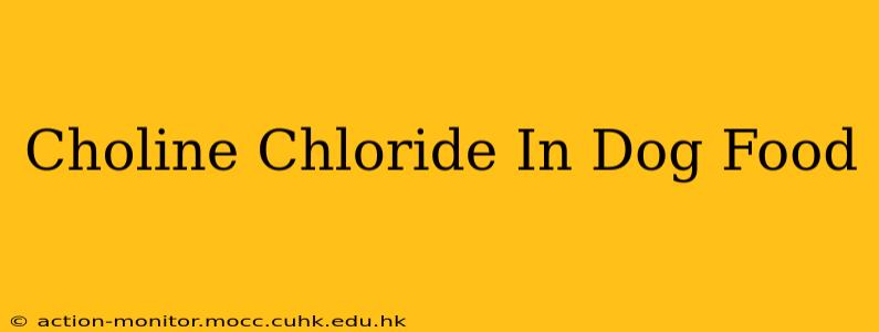 Choline Chloride In Dog Food