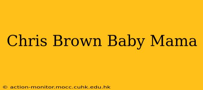 Chris Brown Baby Mama