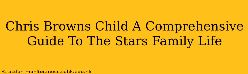 Chris Browns Child A Comprehensive Guide To The Stars Family Life