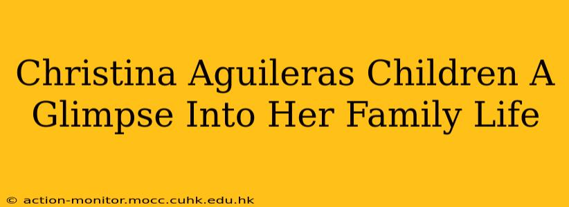 Christina Aguileras Children A Glimpse Into Her Family Life