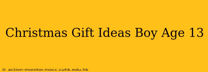 Christmas Gift Ideas Boy Age 13