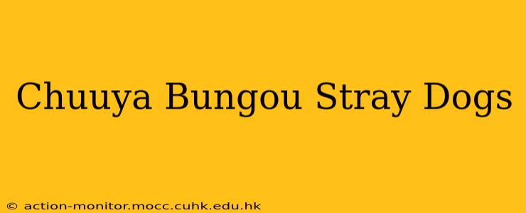 Chuuya Bungou Stray Dogs