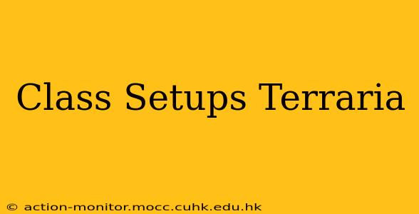 Class Setups Terraria