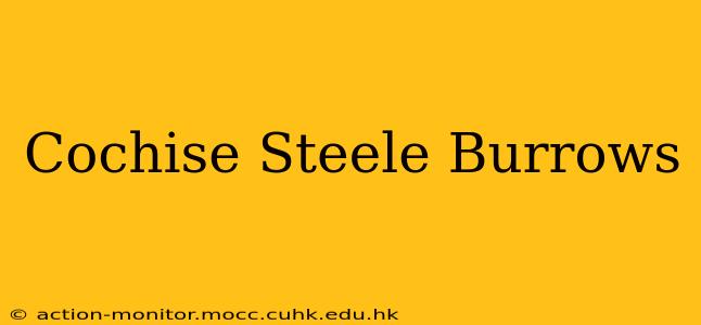 Cochise Steele Burrows