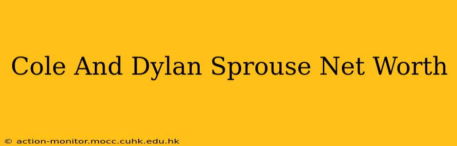 Cole And Dylan Sprouse Net Worth