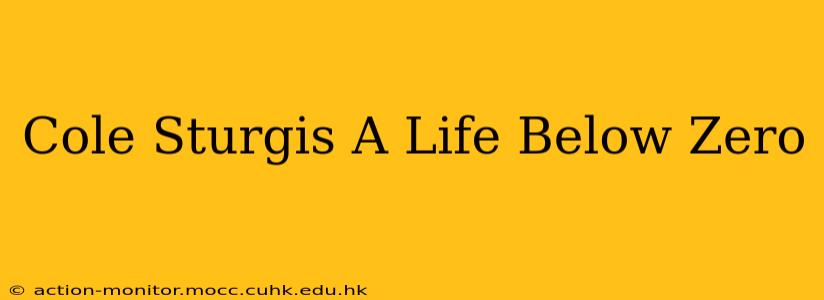 Cole Sturgis A Life Below Zero