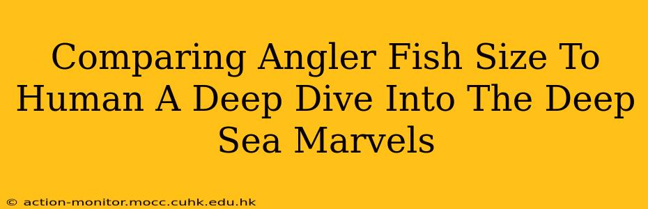 Comparing Angler Fish Size To Human A Deep Dive Into The Deep Sea Marvels