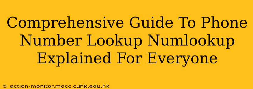 Comprehensive Guide To Phone Number Lookup Numlookup Explained For Everyone