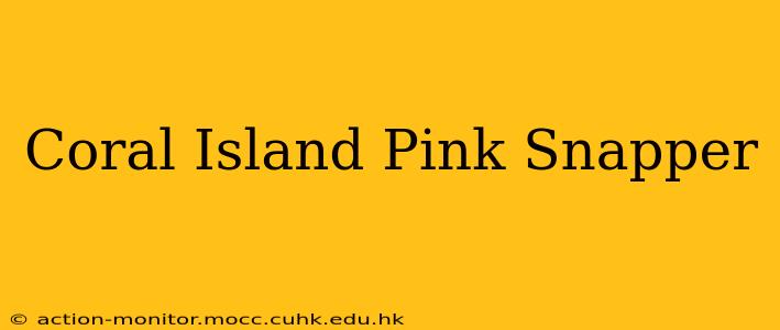 Coral Island Pink Snapper