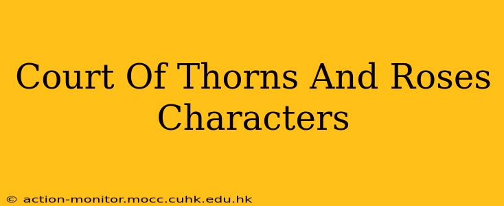 Court Of Thorns And Roses Characters