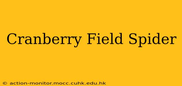 Cranberry Field Spider