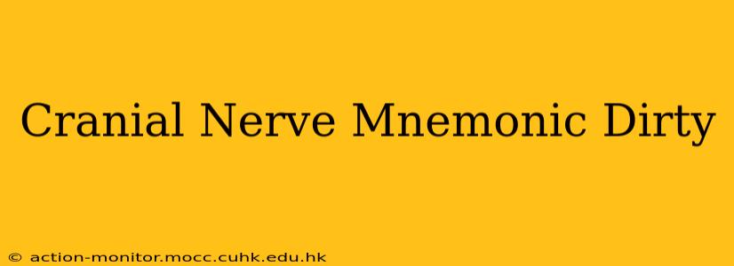 Cranial Nerve Mnemonic Dirty