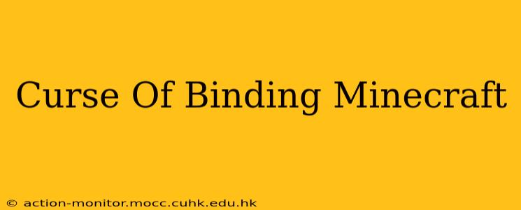 Curse Of Binding Minecraft