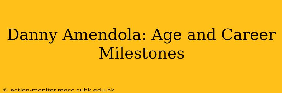 Danny Amendola: Age and Career Milestones