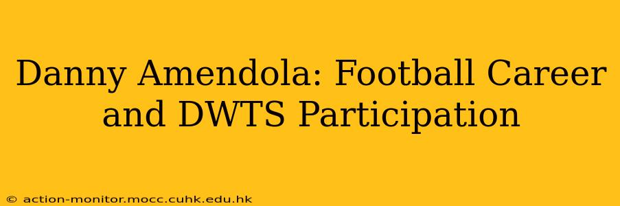 Danny Amendola: Football Career and DWTS Participation