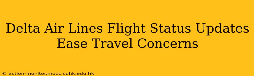 Delta Air Lines Flight Status Updates Ease Travel Concerns