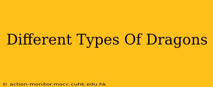 Different Types Of Dragons