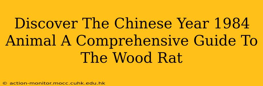 Discover The Chinese Year 1984 Animal A Comprehensive Guide To The Wood Rat