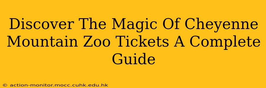 Discover The Magic Of Cheyenne Mountain Zoo Tickets A Complete Guide