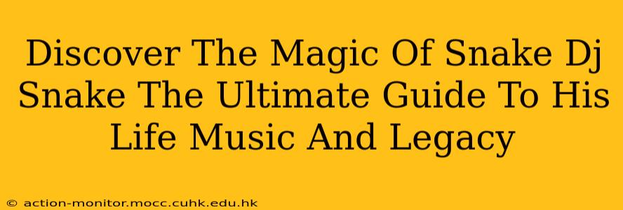 Discover The Magic Of Snake Dj Snake The Ultimate Guide To His Life Music And Legacy