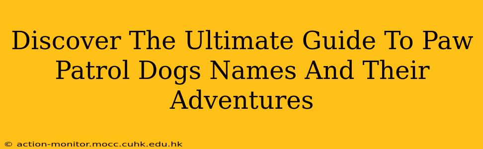 Discover The Ultimate Guide To Paw Patrol Dogs Names And Their Adventures