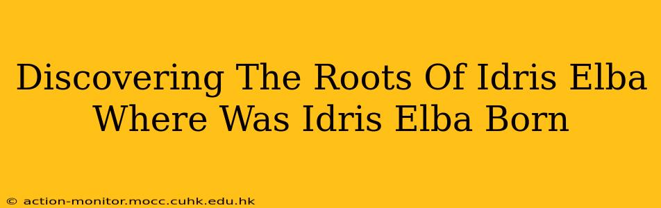 Discovering The Roots Of Idris Elba Where Was Idris Elba Born