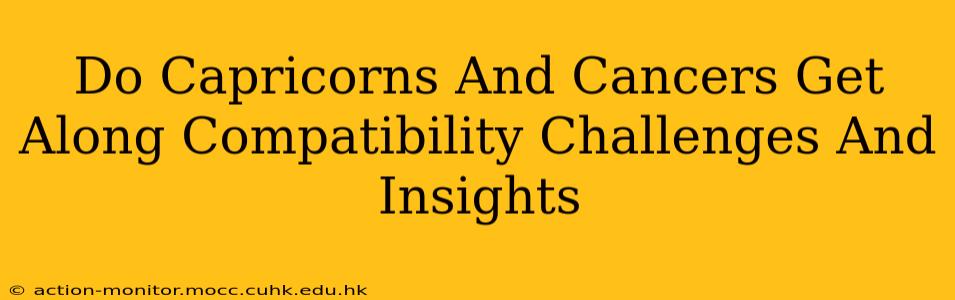 Do Capricorns And Cancers Get Along Compatibility Challenges And Insights