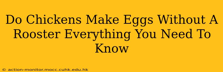 Do Chickens Make Eggs Without A Rooster Everything You Need To Know