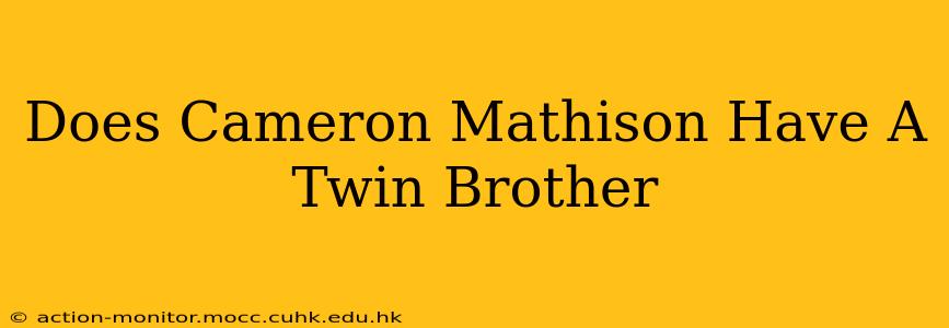Does Cameron Mathison Have A Twin Brother