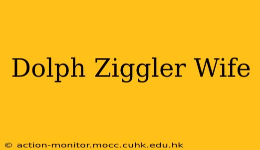 Dolph Ziggler Wife