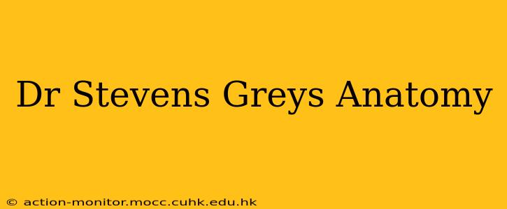 Dr Stevens Greys Anatomy