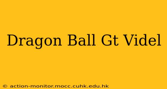 Dragon Ball Gt Videl