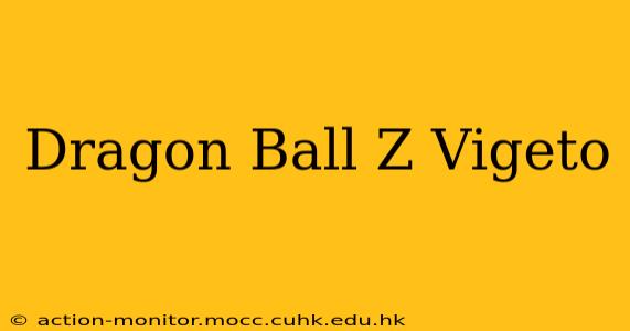 Dragon Ball Z Vigeto