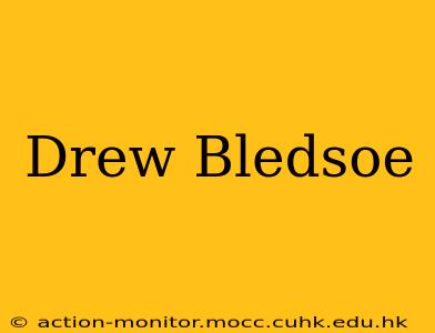 Drew Bledsoe