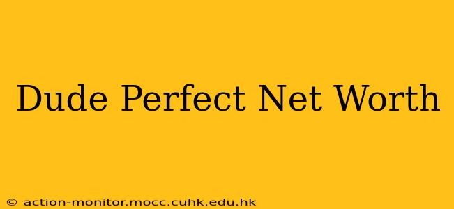 Dude Perfect Net Worth