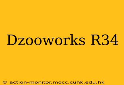 Dzooworks R34