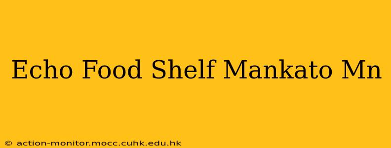 Echo Food Shelf Mankato Mn