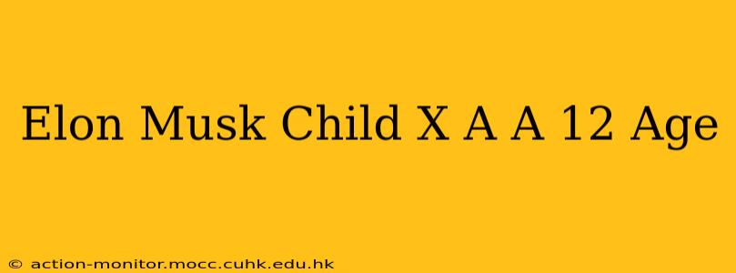 Elon Musk Child X A A 12 Age