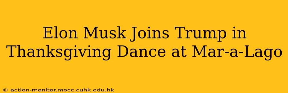 Elon Musk Joins Trump in Thanksgiving Dance at Mar-a-Lago