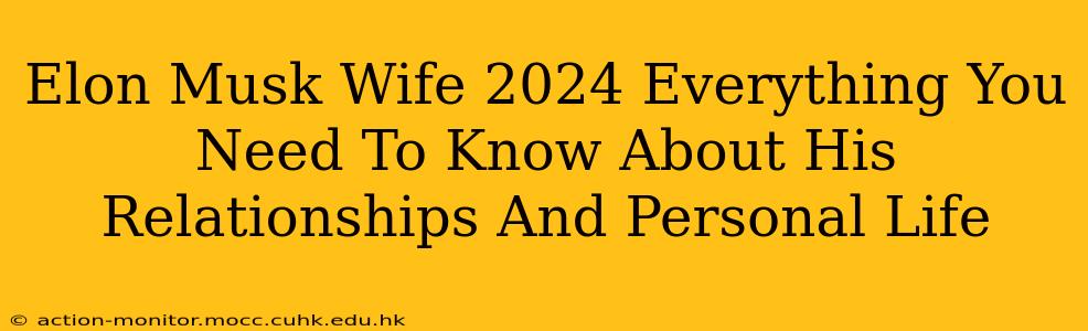 Elon Musk Wife 2024 Everything You Need To Know About His Relationships And Personal Life