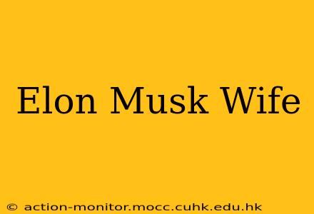 Elon Musk Wife