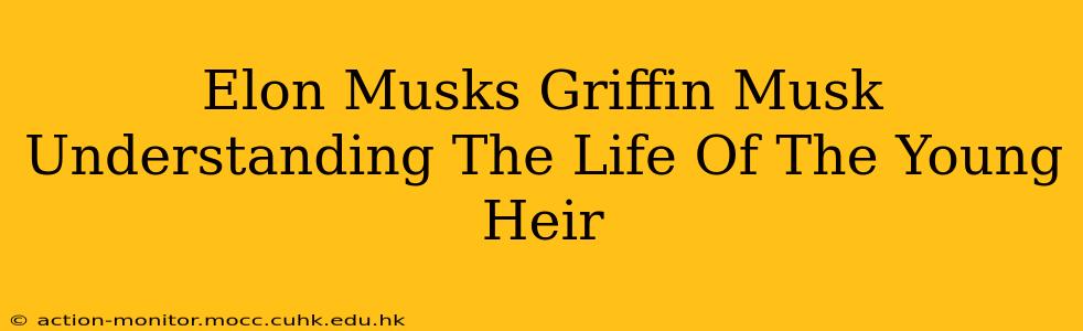 Elon Musks Griffin Musk Understanding The Life Of The Young Heir