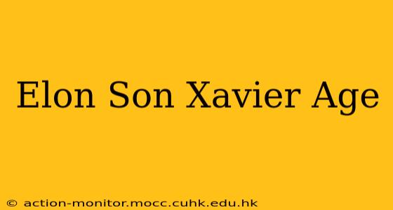 Elon Son Xavier Age