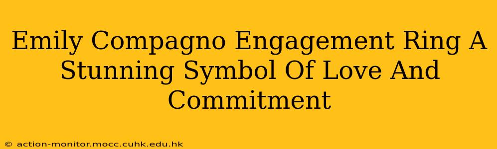 Emily Compagno Engagement Ring A Stunning Symbol Of Love And Commitment