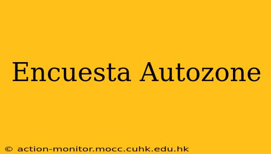 Encuesta Autozone