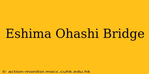Eshima Ohashi Bridge