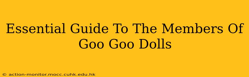 Essential Guide To The Members Of Goo Goo Dolls