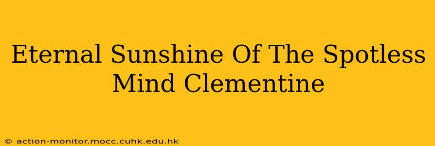 Eternal Sunshine Of The Spotless Mind Clementine