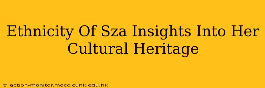 Ethnicity Of Sza Insights Into Her Cultural Heritage